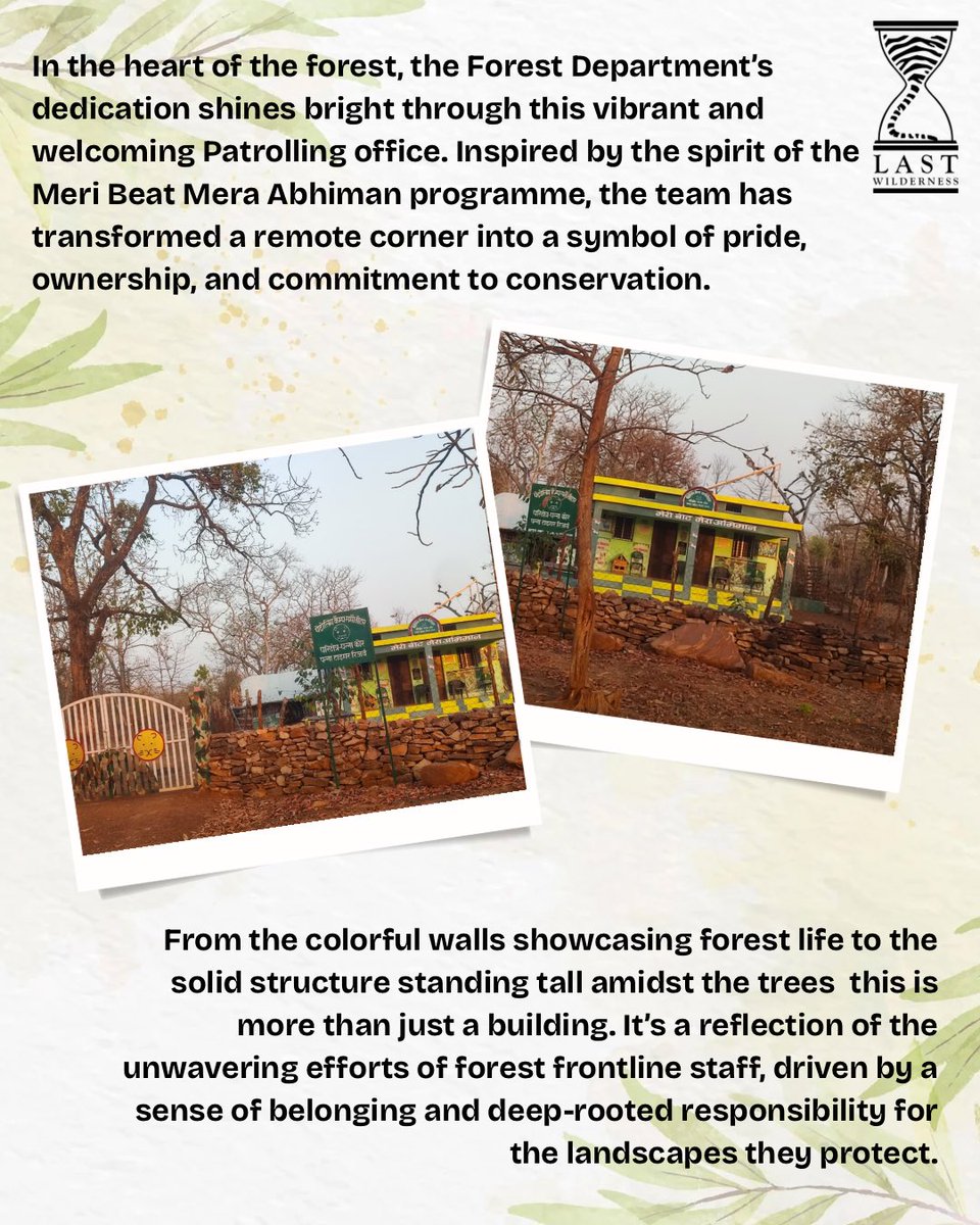 LastWilderness's tweet image. मेरी बीट मेरा अभिमान 💚
With the Forest Dept, we at The Last Wilderness Foundation are empowering frontline staff as protectors and leaders.
When they feel valued, the forest thrives. 🌳✨
#MeriBeatMeraAbhiman #LWF