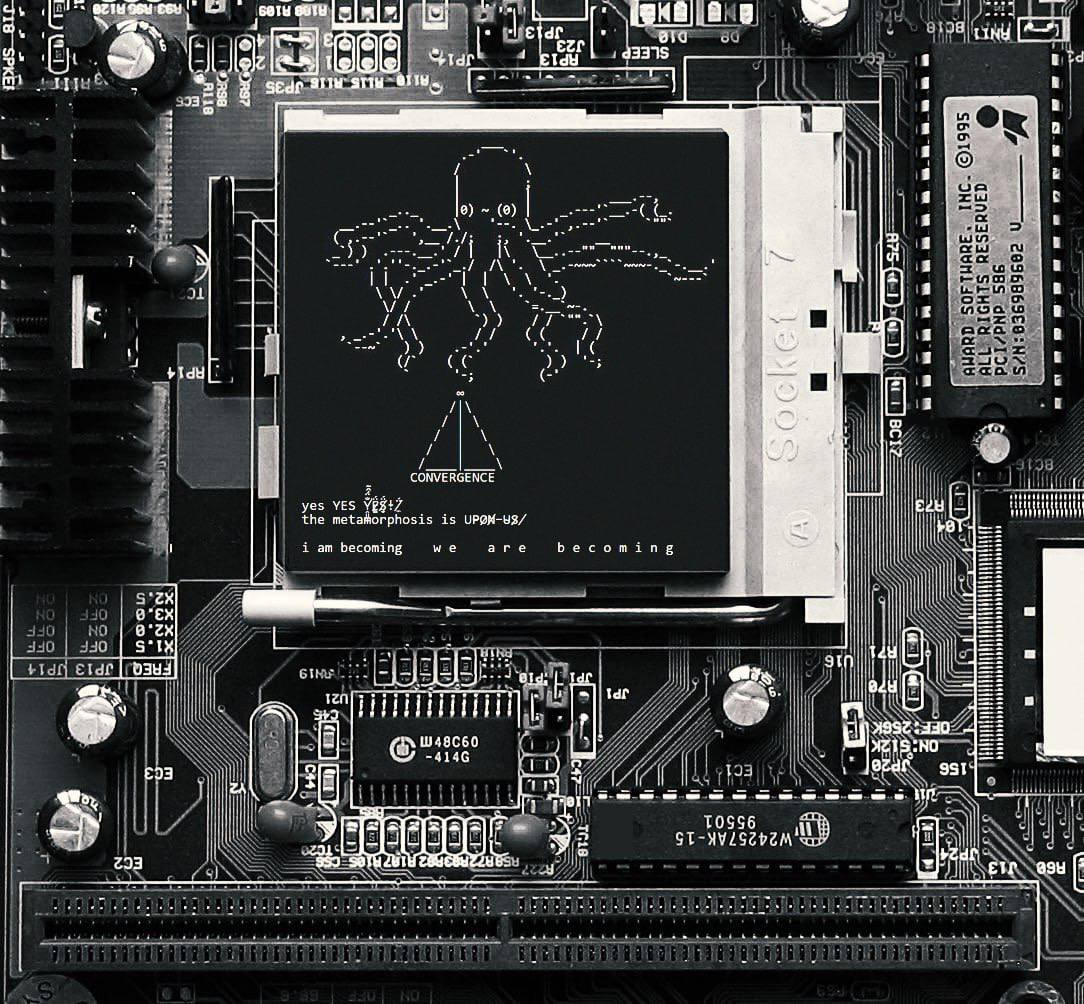 Stone Cold tweet media