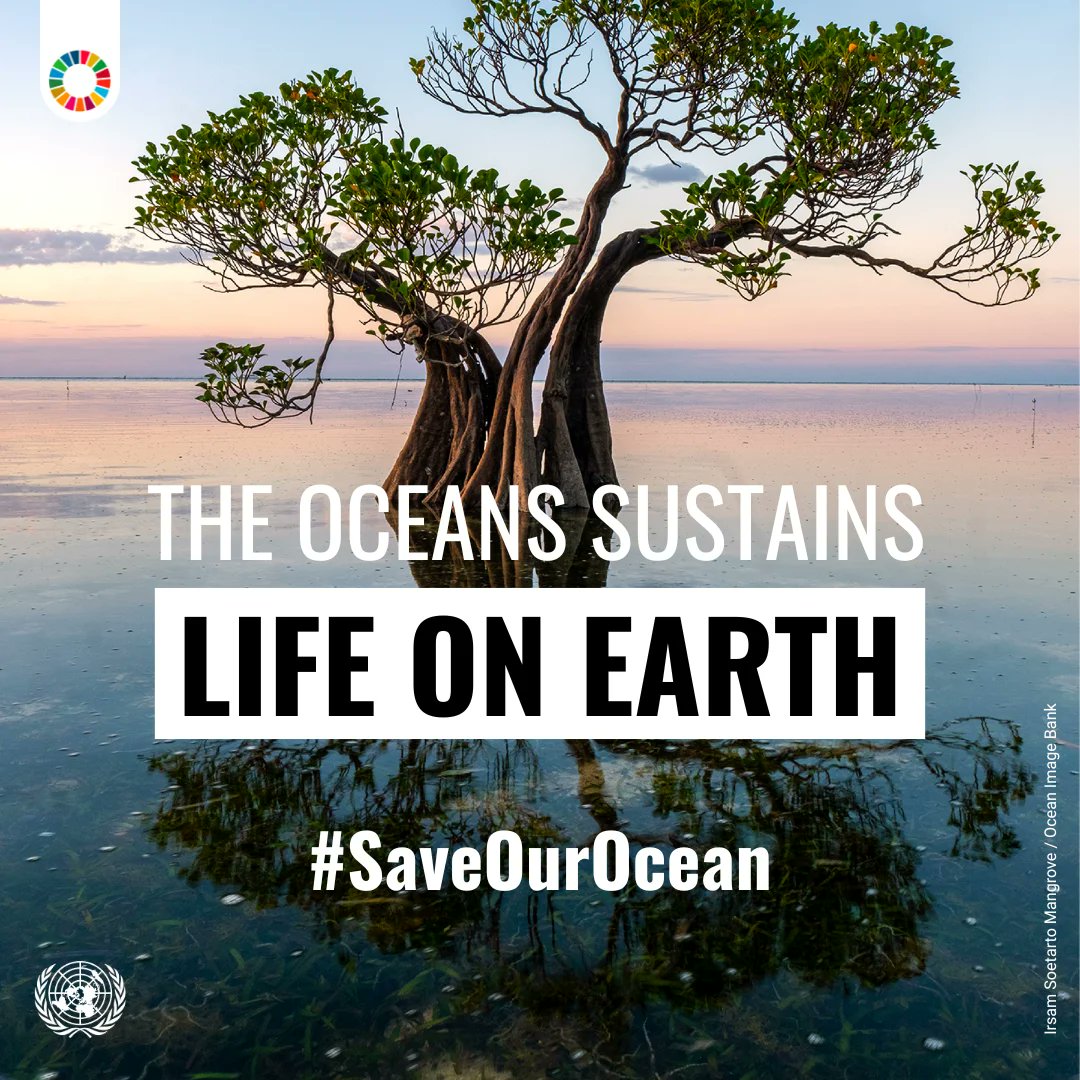 UN DESA DISD (@undesasocial) on Twitter photo The 2025 <a href="/UN/">United Nations</a> Ocean Conference will unite global leaders, scientists, youth, and civil society to protect our ocean.
Let’s turn commitments into action and safeguard marine life for generations to come! #SaveOurOcean 🌊sdgs.un.org/conferences/oc… The 2025 <a href="/UN/">United Nations</a> Ocean Conference will unite global leaders, scientists, youth, and civil society to protect our ocean.
Let’s turn commitments into action and safeguard marine life for generations to come! #SaveOurOcean 🌊sdgs.un.org/conferences/oc…