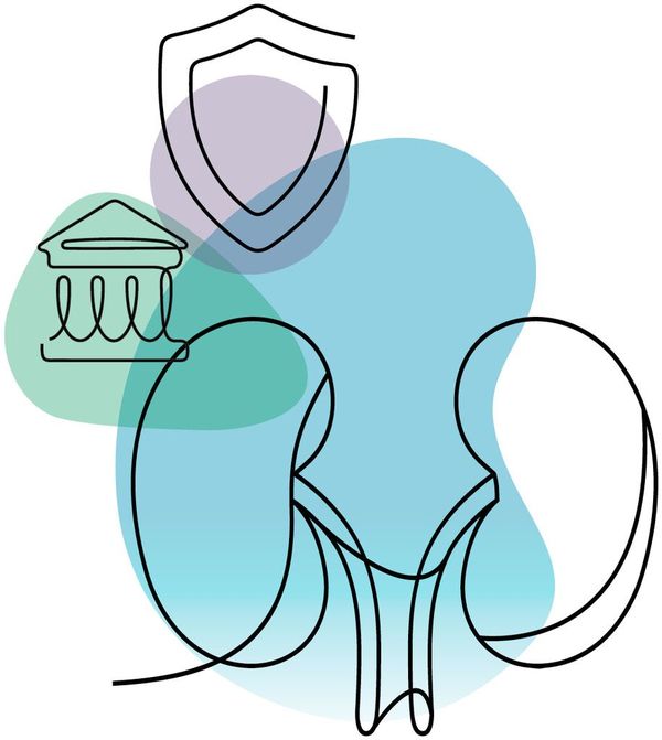 ASN Publications (@asnpublications) on Twitter photo In the May 2025 #ASNKidneyNews Policy Update, explore recent new and existing policy actions from <a href="/ASNAdvocacy/">ASN Advocacy</a> that benefit physicians, patients, and researchers. bit.ly/KN1705-16 In the May 2025 #ASNKidneyNews Policy Update, explore recent new and existing policy actions from <a href="/ASNAdvocacy/">ASN Advocacy</a> that benefit physicians, patients, and researchers. bit.ly/KN1705-16