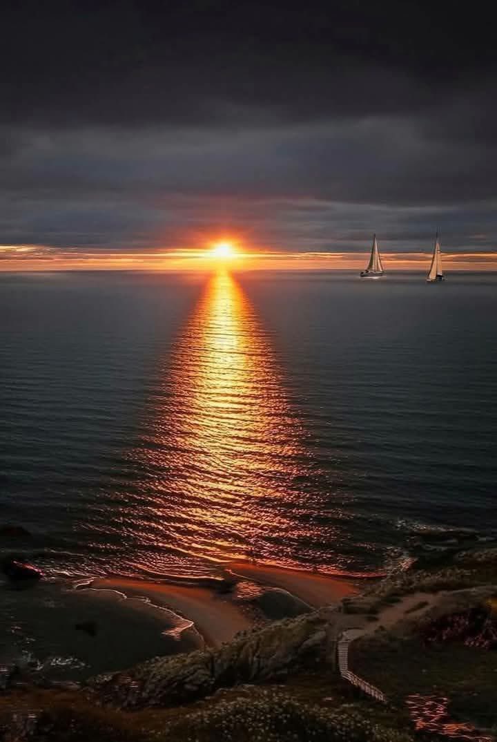 Pavlo 🏝️🐬 (@pavlo_ua) on Twitter photo 