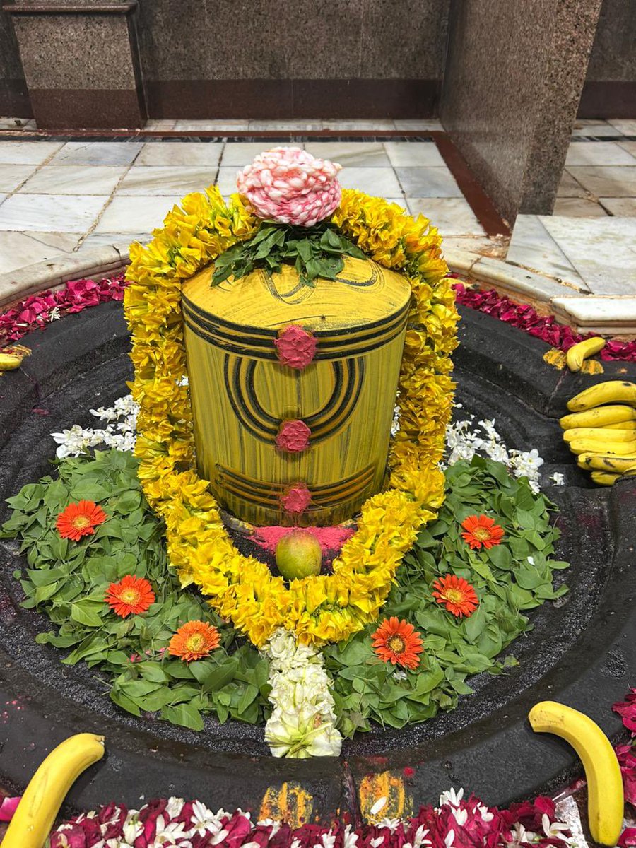 श्री परली बैद्यनाथ ज्योतिर्लिंग जी के आज के संध्या/शयन आरती दिव्य व अदभुत श्रृंगार दर्शन 31.05.2025