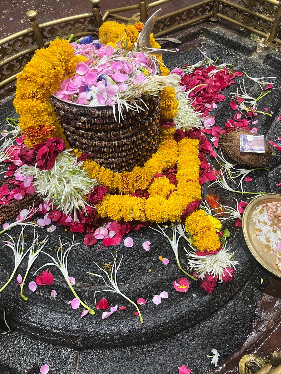 श्री ओम्कारेश्वर ज्योतिर्लिंग जी के आज के संध्या कालीन आरती के दिव्य श्रृंगार दर्शन 31.05.2025