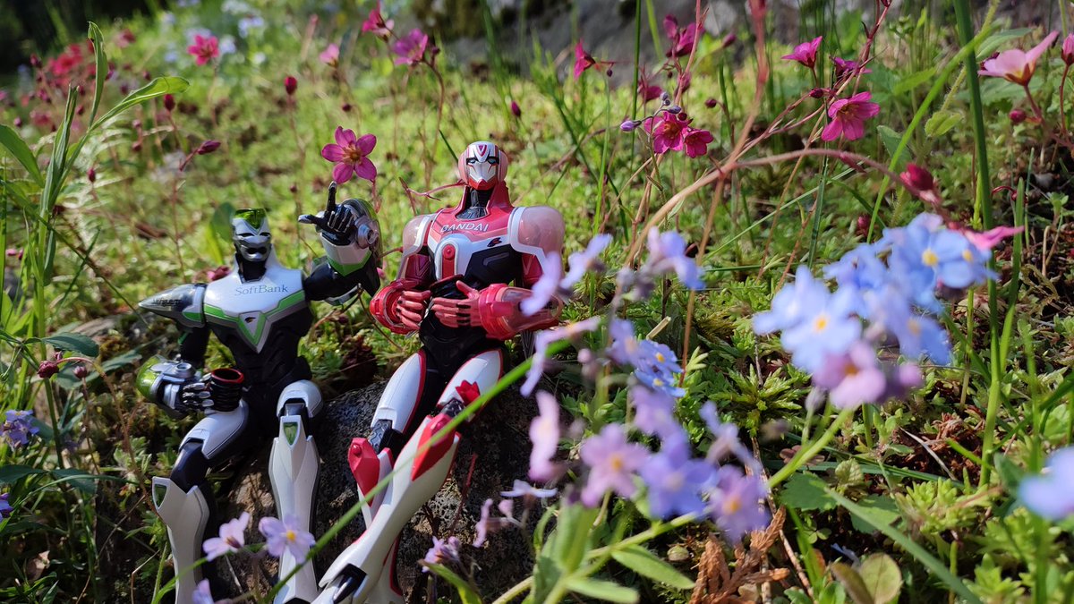 Keep taking pics of my action figures in flowers :D