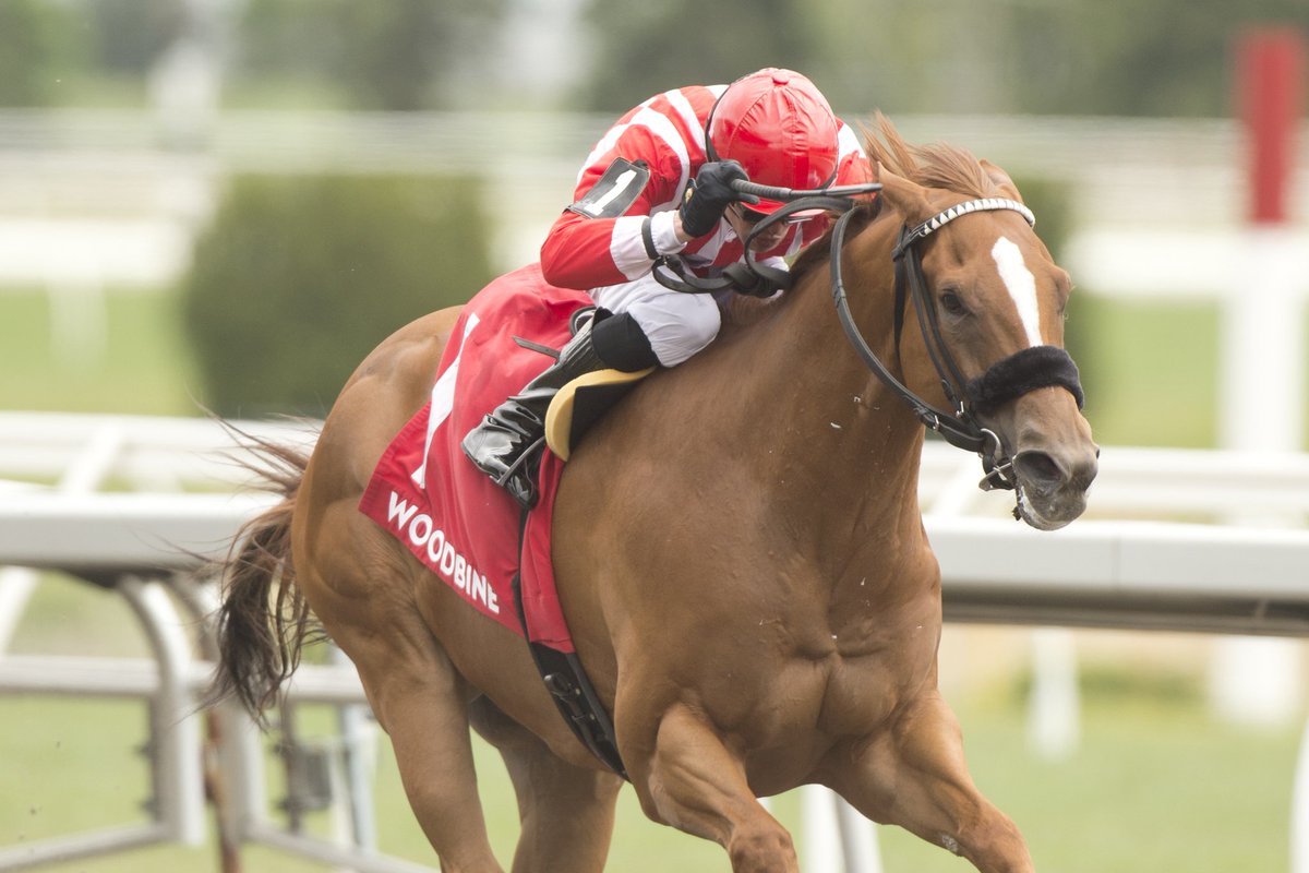 Jennifer Morrison (@jensblog) on Twitter photo Old Chestnut, an 8 year old by Speightstown, upset the three horse Jacques Cartier Stakes as lone speed for owner <a href="/BGSchickedanz/">Bruno Schickedanz</a> , trainer Martin Drexler, jockey Eswan Flores. A $32,000 claim in 2022, it was his 3rd win for these interests. He was a stakes winner at 2..MBurns ph Old Chestnut, an 8 year old by Speightstown, upset the three horse Jacques Cartier Stakes as lone speed for owner <a href="/BGSchickedanz/">Bruno Schickedanz</a> , trainer Martin Drexler, jockey Eswan Flores. A $32,000 claim in 2022, it was his 3rd win for these interests. He was a stakes winner at 2..MBurns ph