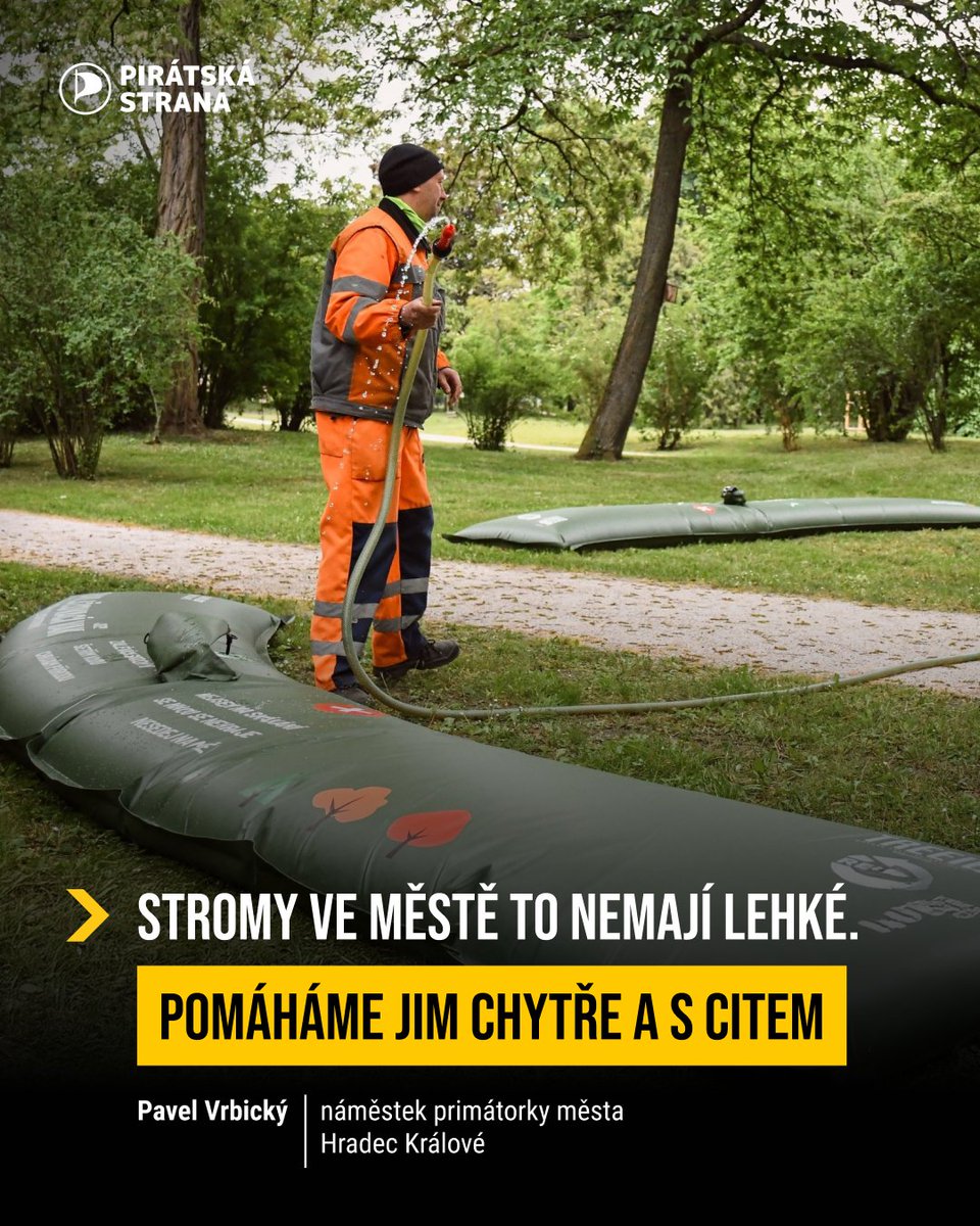 Vzrostlé stromy to ve městě nemají jednoduché. Málo vody, zhutněná půda, horko. Aby se jim dařilo líp, nasadili jsme v našem městě zavlažovací vaky, které se nám osvědčily už loni. Letos jsme ale přidali ještě něco navíc:
💧 Vaky pojmou až 1500 litrů vody a strom zalévají klidně