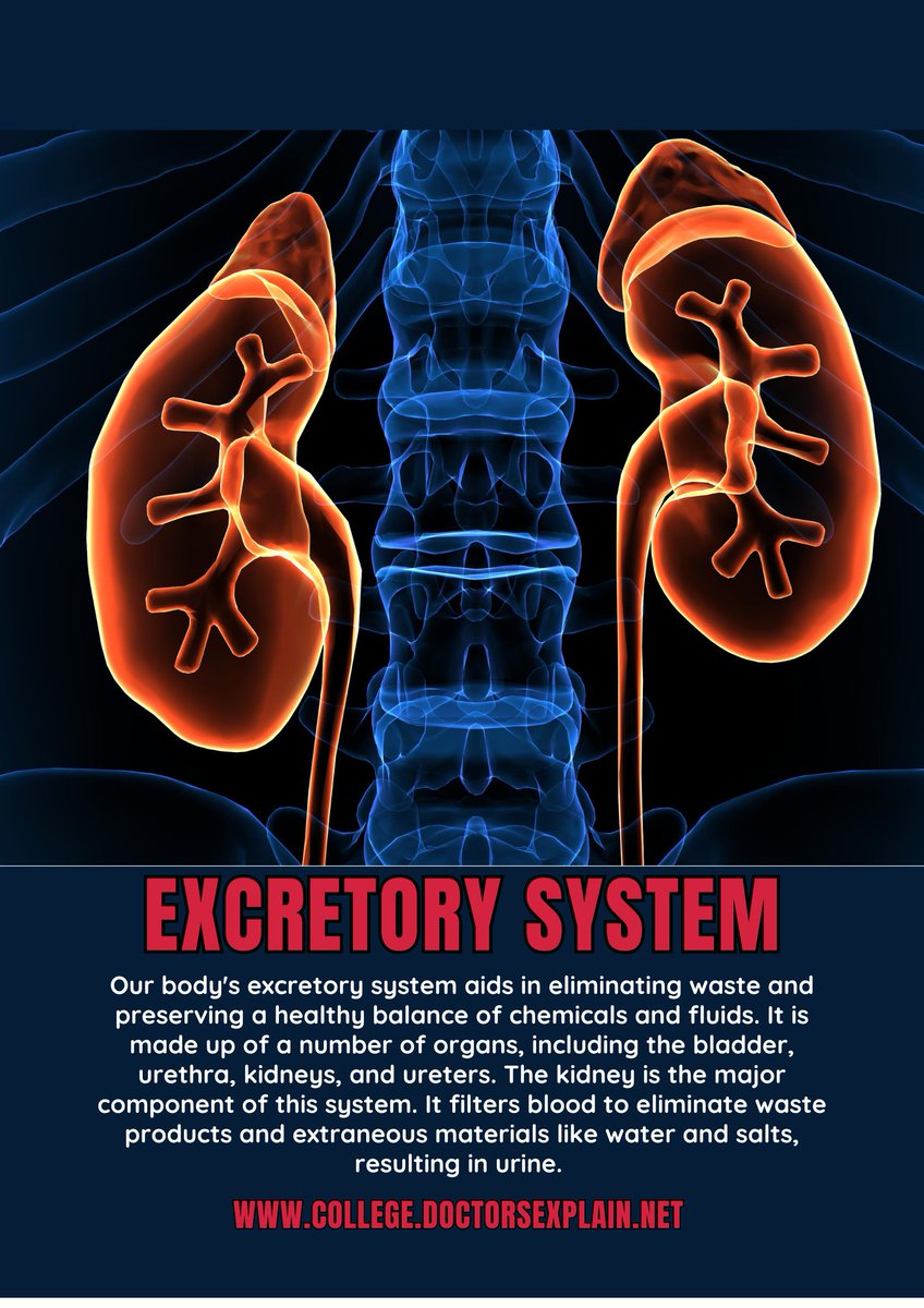 DocsExplainFM's tweet photo. 🧠💪 Master the fundamentals of Human Anatomy with easy-to-understand lessons! Build a solid foundation in health sciences today.
🎓 Enroll now: https://t.co/MMUvtLTJ0E
#HumanAnatomy #HealthScience #MedicalEducation #StudyAnatomy #OnlineLearning #DoctorsExplain https://t.co/6InBKxLz41