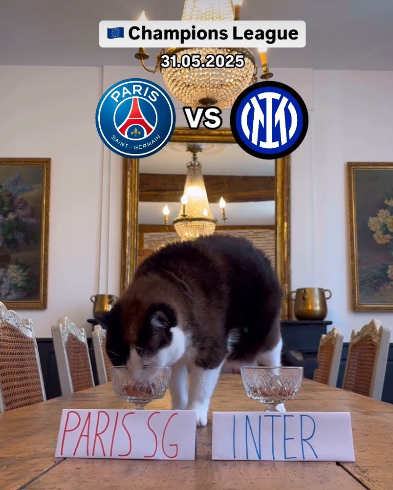 Mu kanya kuri Munich Arena turareba final ya Ze-League 

Uraha nde amahirwe ? 

Njye ndi inyuma ya PSG , Nimbus yibeshya gake cyanee 🤪

#UCLfinal