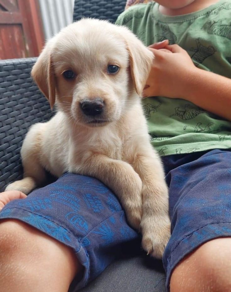 nossa nova companhia!