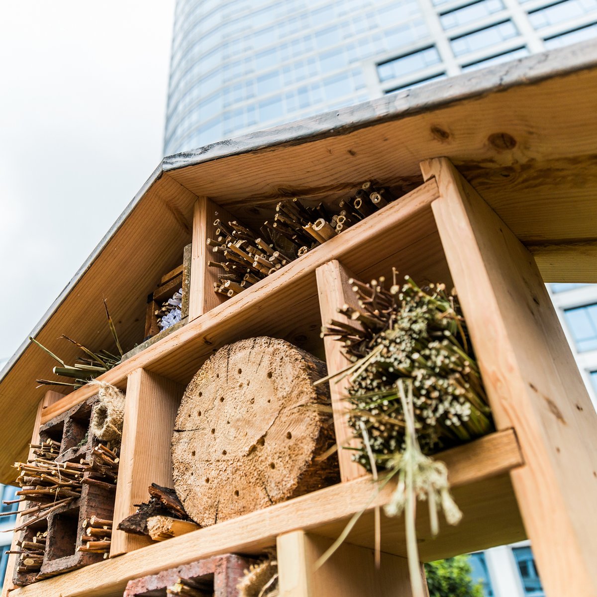 Bees are responsible for 1 in 3 bites of food we eat.
Our rooftop hives support pollinator health, but you can help too. From bee hotels to pesticide-free gardens, every action matters.
🌿 Learn how to #BeeTheChange bit.ly/4mCf19L
#SustainableLuxury #FairmontWaterfront
