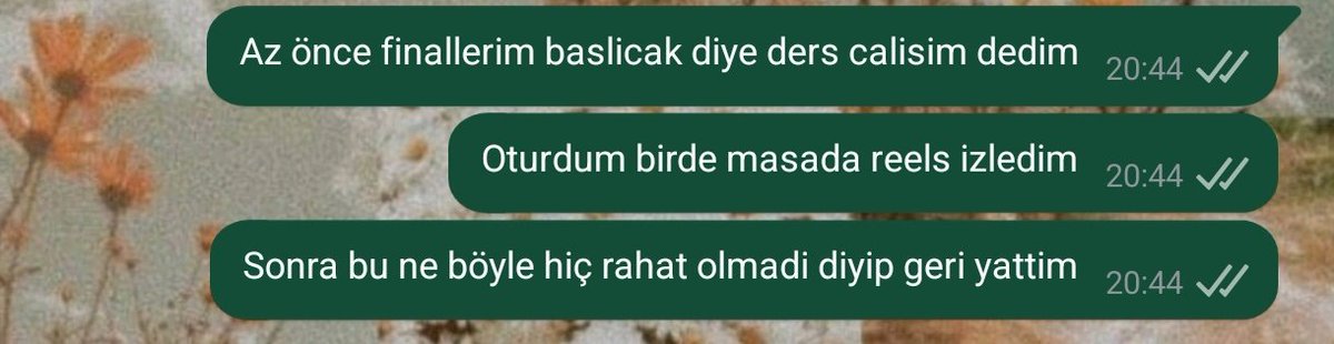 Son zamanlarda bizim akademik hayat