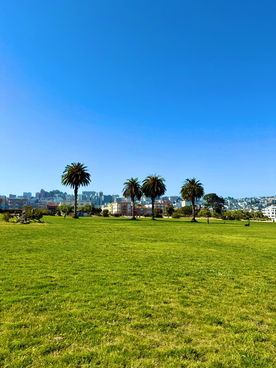 tair's tweet image. what a beautiful day in sf ☀️
go outside. touch the grass.