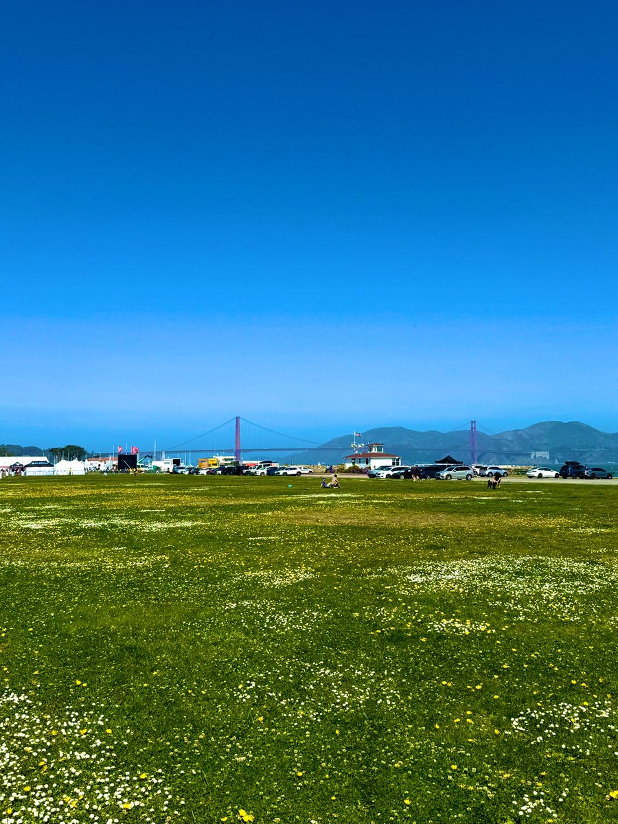 tair's tweet image. what a beautiful day in sf ☀️
go outside. touch the grass.