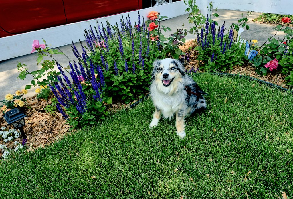 Happy Saturday all! It's a graduation weekend for our Granddaughter! Where did the time go...🥹 I'm hoping for a lot of treats too!