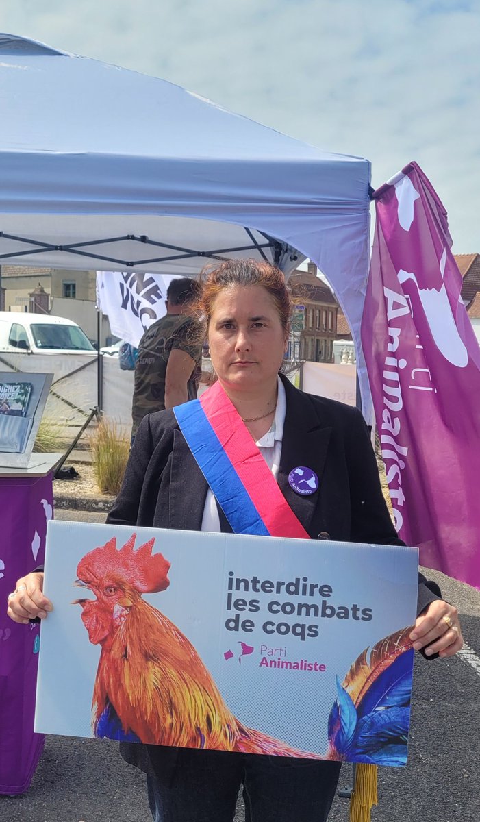 Douchka Mira Markovic (@douchkamarkovic) on Twitter photo 