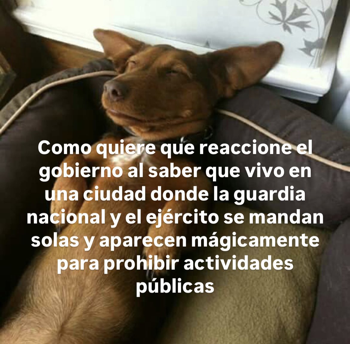 Leslie I. Jiménez (@les_iju) on Twitter photo 