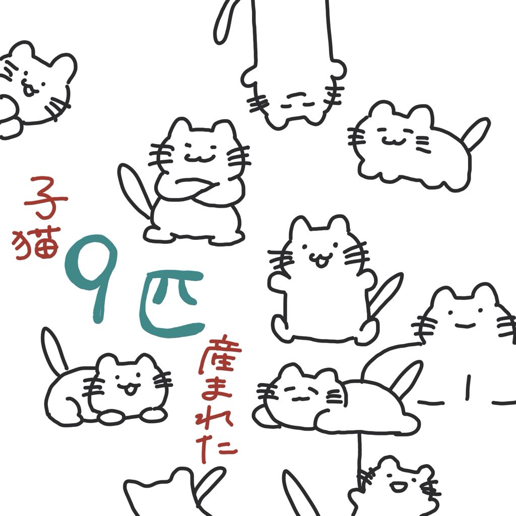 職場の天井裏で子猫が9匹産まれました（2世帯）