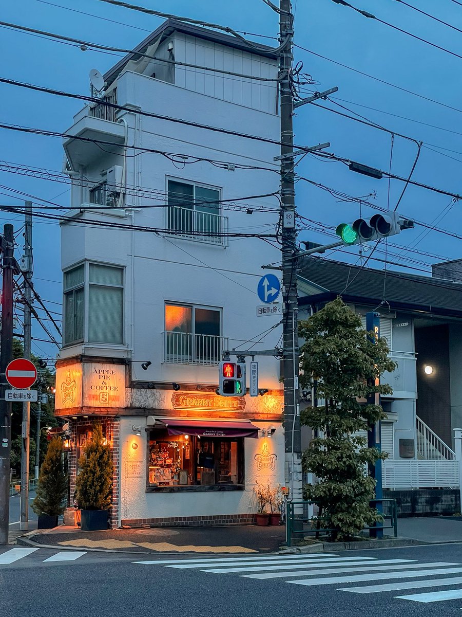 ソーニャ✧Хурмя柿姫 (@stupid_animals) on Twitter photo 