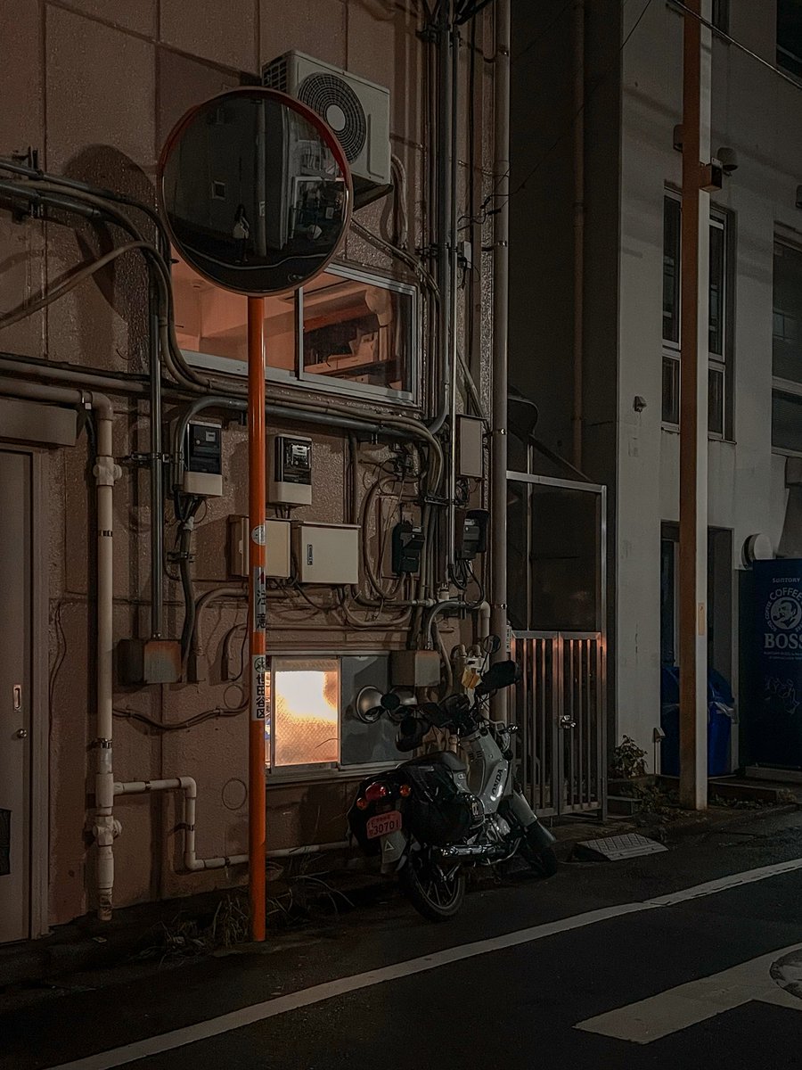 ソーニャ✧Хурмя柿姫 (@stupid_animals) on Twitter photo 