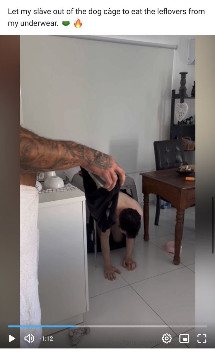 Master Ares (@masterares_) on Twitter photo Let my slave out of the dog cage so he can eat the leftovers of my underwear. Because he has to go back into the cage with my underwear in his mouth. 🔥🩲
1:50 clip on my ⤵️
onlyfans.com/1740761862/mas… Let my slave out of the dog cage so he can eat the leftovers of my underwear. Because he has to go back into the cage with my underwear in his mouth. 🔥🩲
1:50 clip on my ⤵️
onlyfans.com/1740761862/mas…