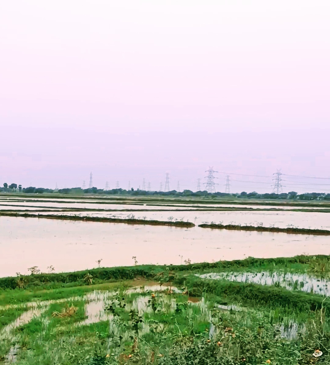 StayUNnoticed's tweet image. 🌱 harvesting for myself and other 🌱
-- nature doesn’t try to be perfect, and yet it achieves what design strives 🧘