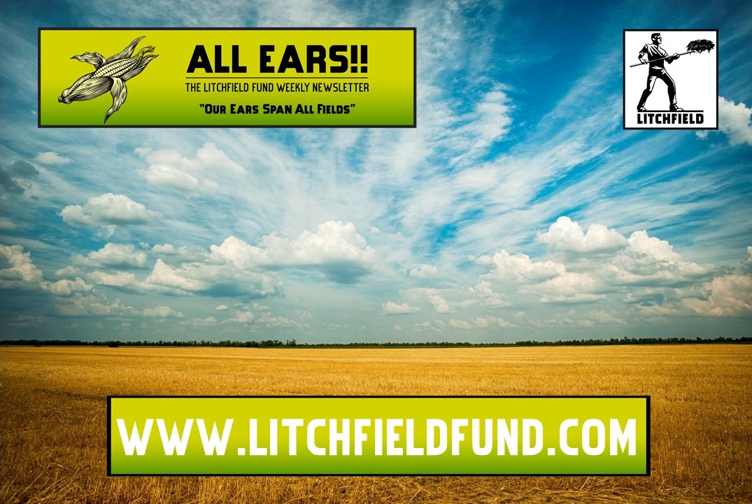 This week's All Ears!!

🌽🌽A Free Mind🌽🌽
lnkd.in/gyd4aehM

#cpgindustry #cpgnews #investing #founders #networking #amwriting 
#investors #entrepreneur #writerscommunity #writingcommunity