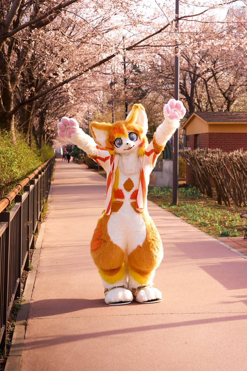 여기야!
📸: <a href="/kemochuki/">Chuki</a>