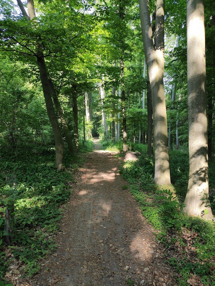 MizeraMichael's tweet image. From my morning bike ride. 🚴🚴🚴🚵🚵🚵