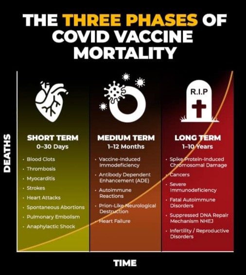 JackJohnJack9's tweet image. Get your booster kunts. #auspol #albo #markbutler