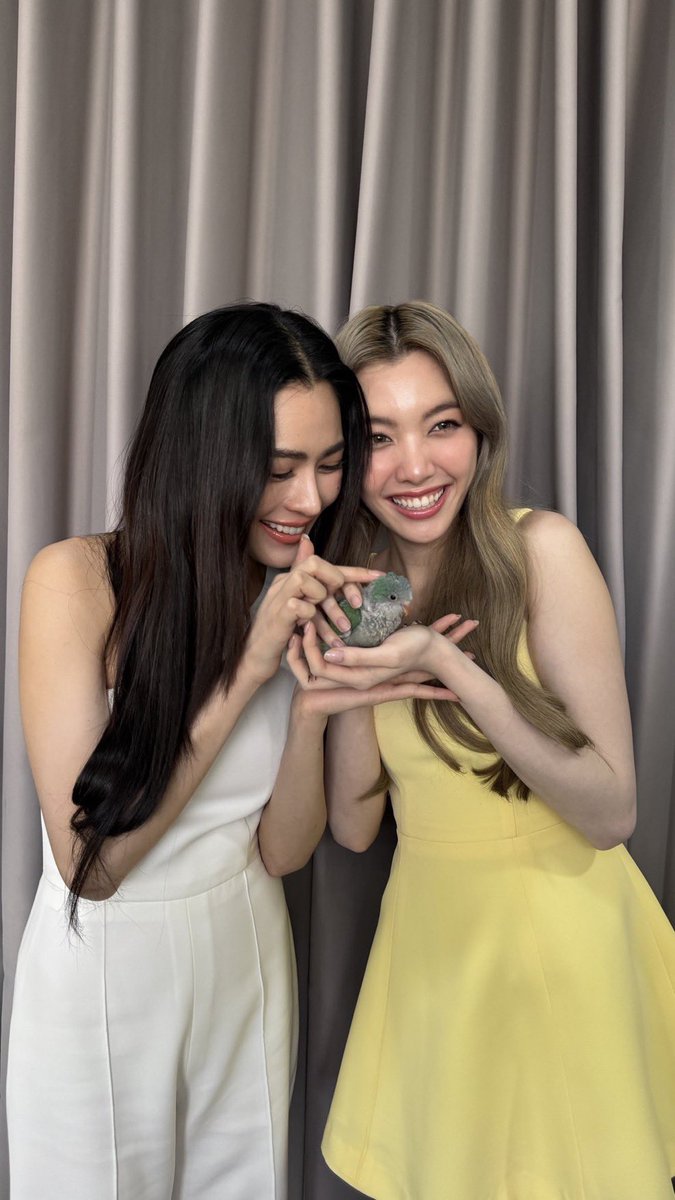 LoMuangs1's tweet image. เห็นหลิงออม แล้ว ยังไงก็เป็นแฟนกัน คือฟิว ทำงานด้วยกันเกือบจะทุกวัน คือจะเป็นคู่จิ้น คงไม่ไหวแล้วละ คือ หลิงก็เห็นออมเกินน้องไปแล้ว ส่วนออมก็เห็นหลิงเกินพี่ไปนานแล้ว 
🫶🏻🌈🥰❤️คือมันเกิน Service Fan ไปมากไปไกลที่ทั้งคู่ทำอะ ไม่ต้องทำขนาดนี้คนก็จิ้นไปอีกนานแล้ว…