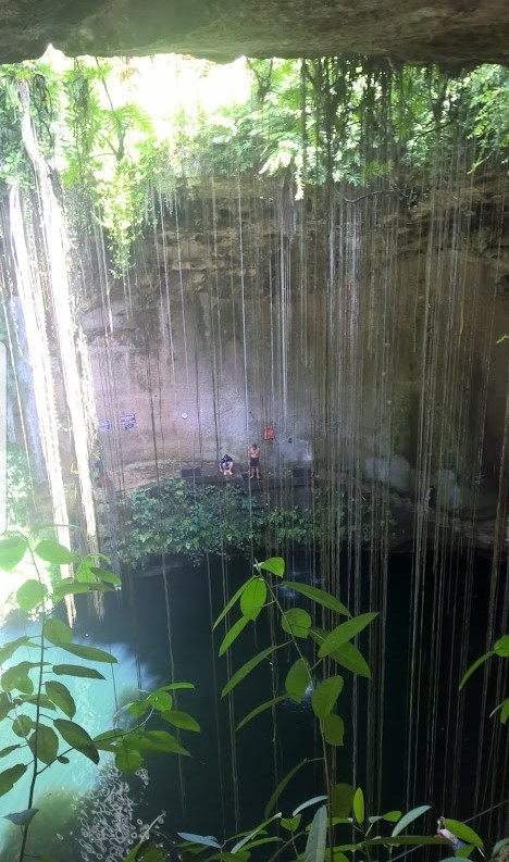 DailyPicTheme2's tweet image. Wednesday, 4th June

Today&apos;s Daily Picture Theme is &apos;Cascade&apos;

RT or reply with your own photo

Tomorrow&apos;s theme will be &apos;Dastardly&apos;

#DailyPictureTheme

The #cascade at Ik Kil Cenote, Mexico