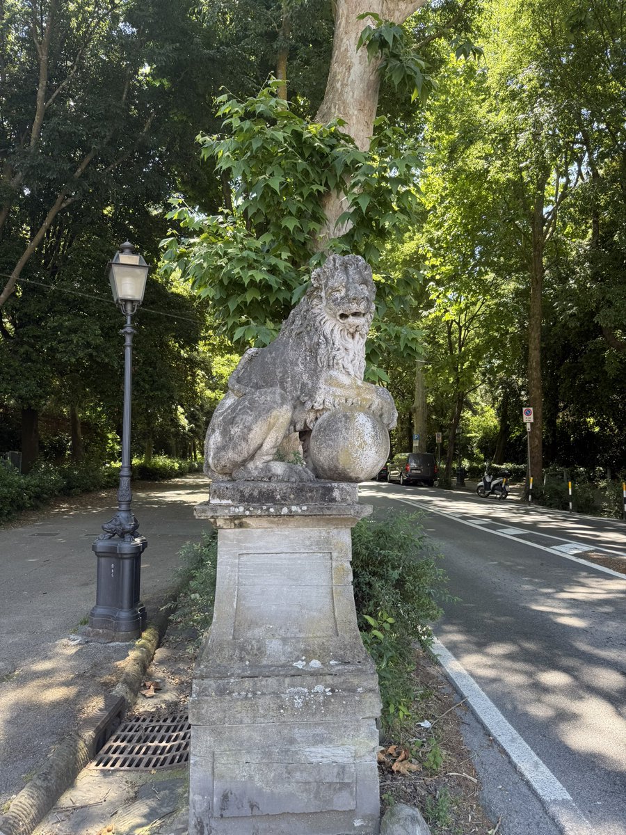 First run in Italy! 

It was a little rough because it was also my first run in a week, but boy was it beautiful