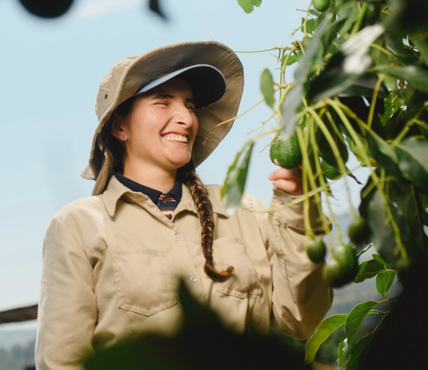 Con alegría y con corazón, desde ya celebramos a quienes cultivan la vida y cosechan bienestar alimentando a todo el país. 

Para Monómeros, honrar a los campesinos, es reconocer la experiencia que transforma el campo en progreso para todos.

#DíaDelCampesino #CampesinoColombiano