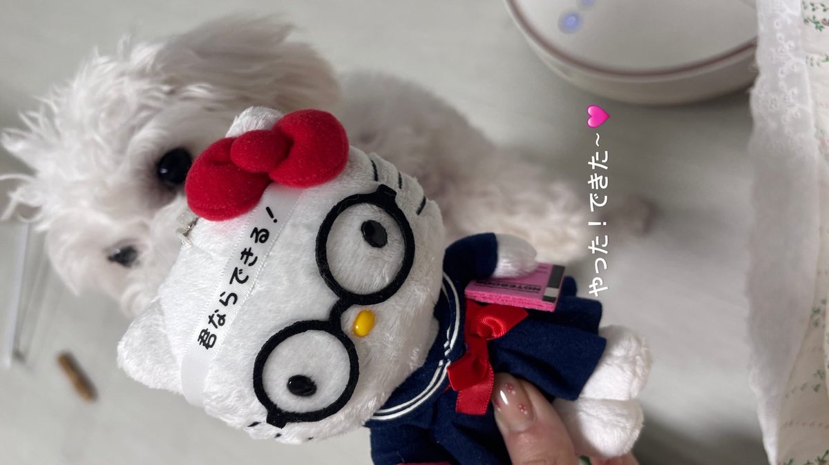 박오쭈 tweet media