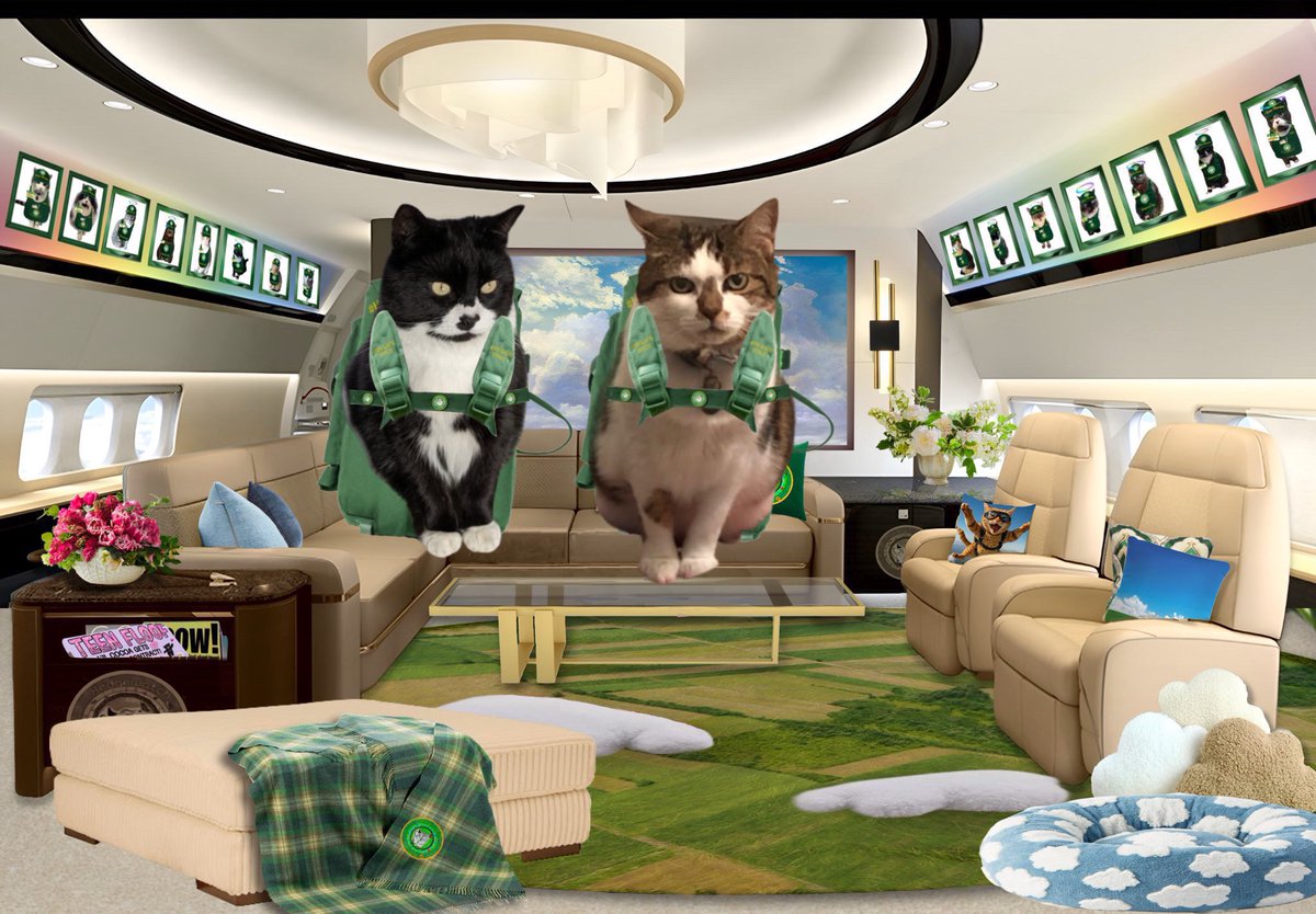 Judith longden (@judithandtinks) on Twitter photo Here we are at #HWCafe and very excited for the plane and parachute extravaganza! Bryan <a href="/InfluencerBryan/">@Bryan ๐ Tinks</a> is a little nervous but I am used to flying with my Angel wings and will hold his paw tight ๐๐ Here we are at #HWCafe and very excited for the plane and parachute extravaganza! Bryan <a href="/InfluencerBryan/">@Bryan ๐ Tinks</a> is a little nervous but I am used to flying with my Angel wings and will hold his paw tight ๐๐