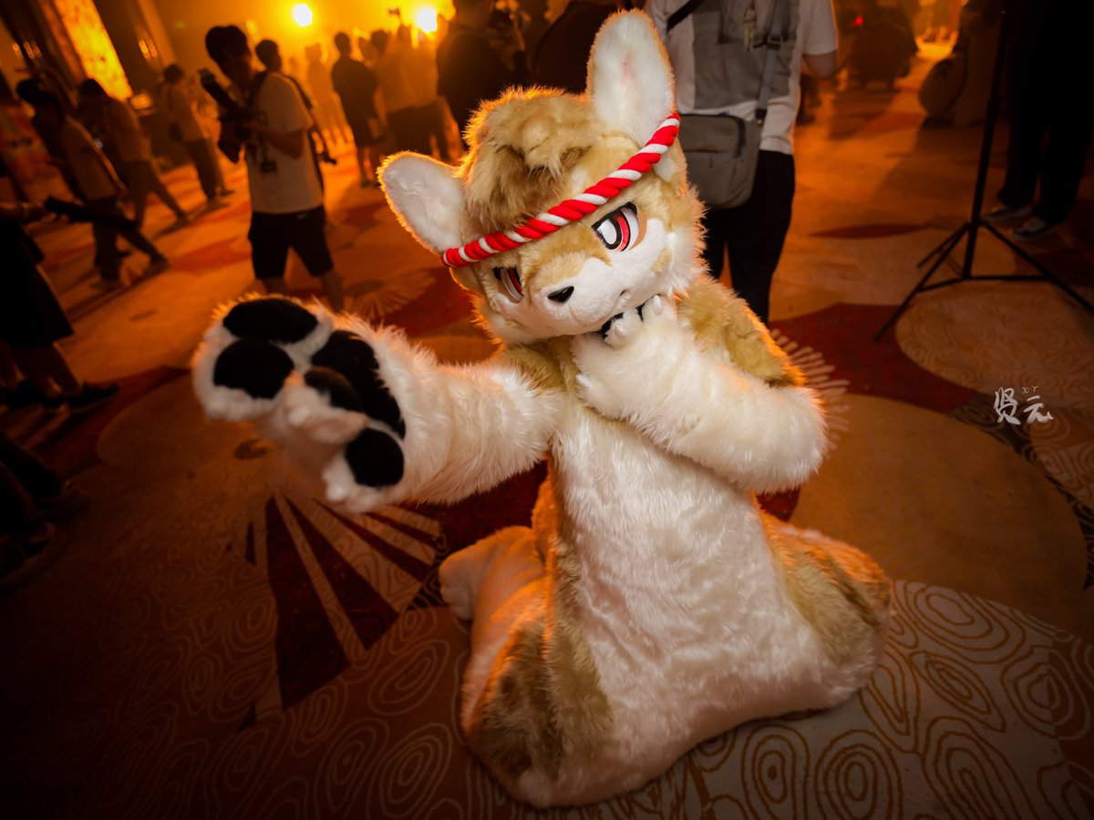#FursuitEveryday 

来牵牵小狗嘛

📷:<a href="/xianyunyanba/">贤云</a>