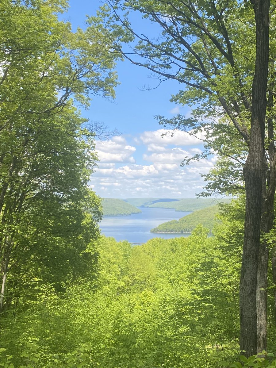 misclickzilla's tweet image. went on a walk this morning and damn I love my town look at this shit