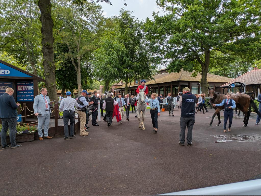 Neil Watson (@wattyracing) on Twitter photo A power packed performance from Estrange who walloped them to win the Lester Piggott Stakes for <a href="/CPStudOfficial/">Cheveley Park Stud</a> and <a href="/omeararacing/">David O'Meara</a> , hopefully we'll see her here in July for a crack at the Lanky Oaks. A power packed performance from Estrange who walloped them to win the Lester Piggott Stakes for <a href="/CPStudOfficial/">Cheveley Park Stud</a> and <a href="/omeararacing/">David O'Meara</a> , hopefully we'll see her here in July for a crack at the Lanky Oaks.