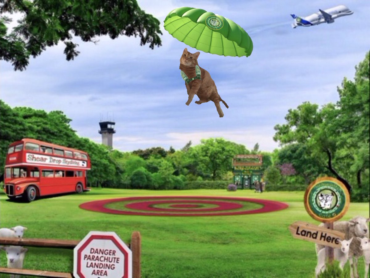 <a href="/Hedgewatchers/">Hedgewatch</a> OH MY CAAAAT 🙀 #HWCafe