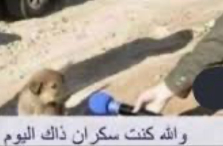 LPWSO's tweet image. 