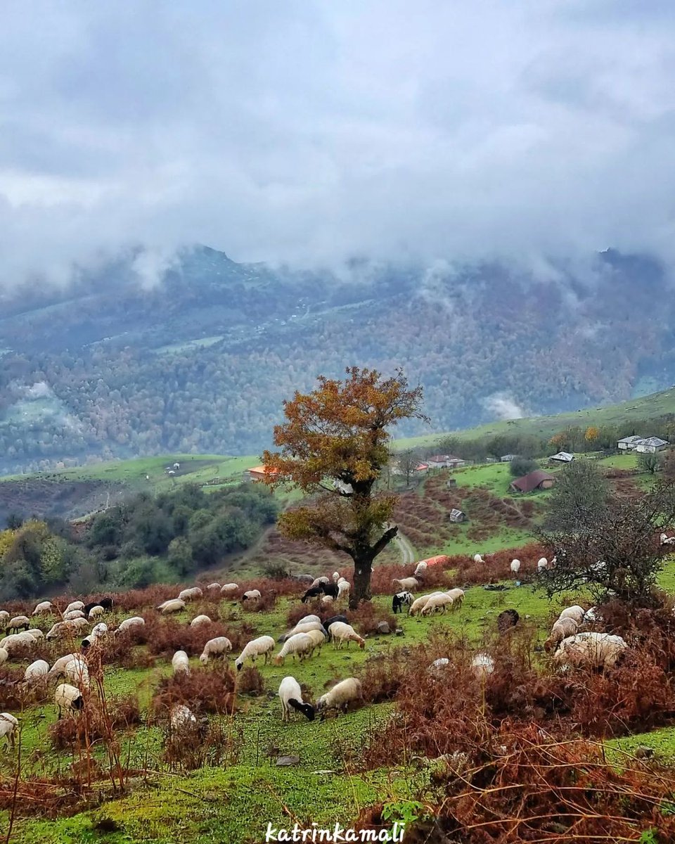 مسیر اسالم به خلخال

📸 : Katrin kamali