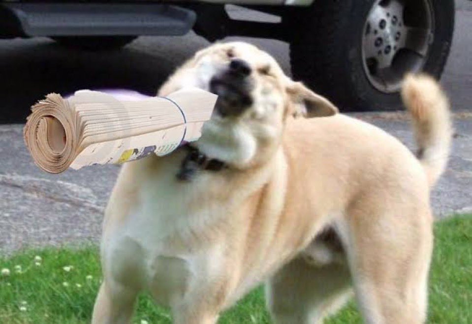 Cooperen para regalarle a <a href="/YosoyPedrero/">Manuel Pedrero</a> una 🔦 y una 🔎 para que busque su dentadura después de este 📰.