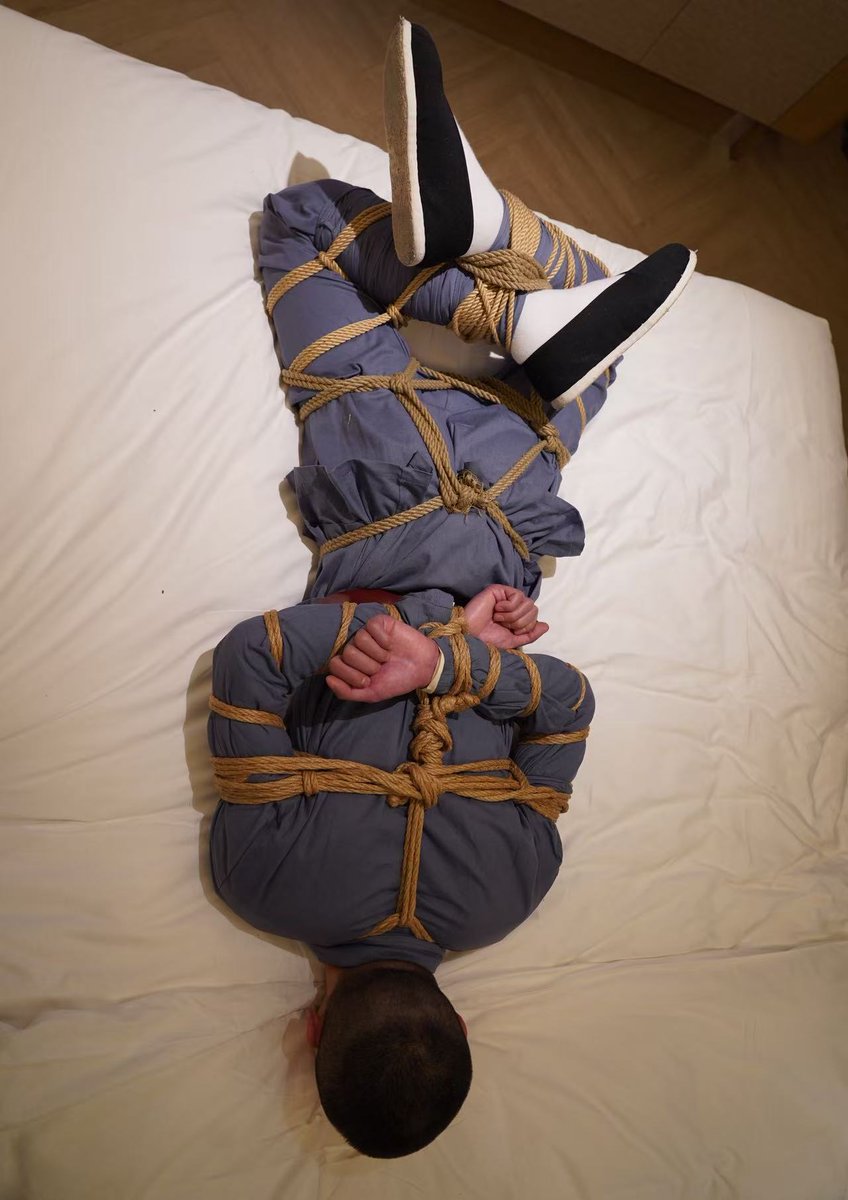 端午安康。
大家更喜欢哪款粽子呢🤓