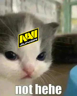 NAVI Junior tweet media