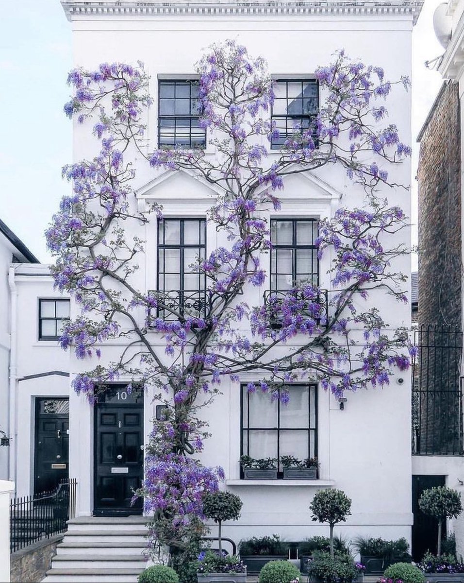 London in Spring.