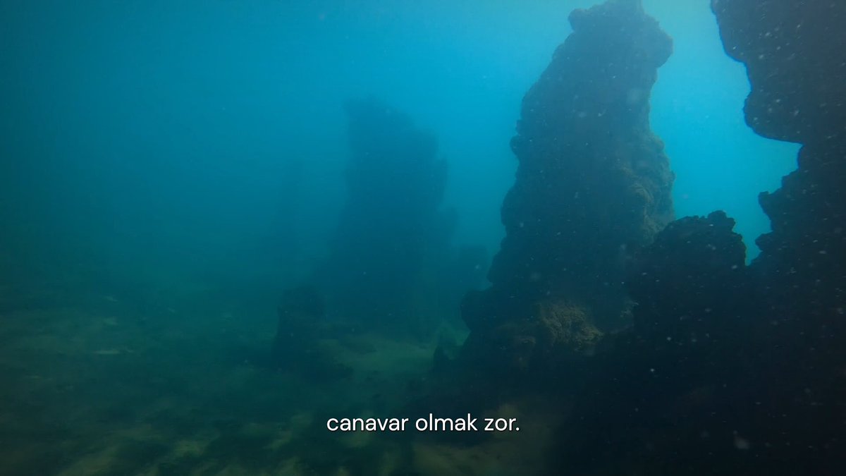 mubiturkiye's tweet photo. Behçet Güleryüz’ün kamerası, Van Gölü’nün sisli yüzeyinden derinliklerine inerken kadim bir efsanenin iç sesini dinliyoruz. Ve evet, canavarı da.

SEYİRLİK BİR GARİPLİK: VAN GÖLÜ CANAVARI, şimdi MUBI'de gösterimde. https://t.co/sVpRmq4ZsD
