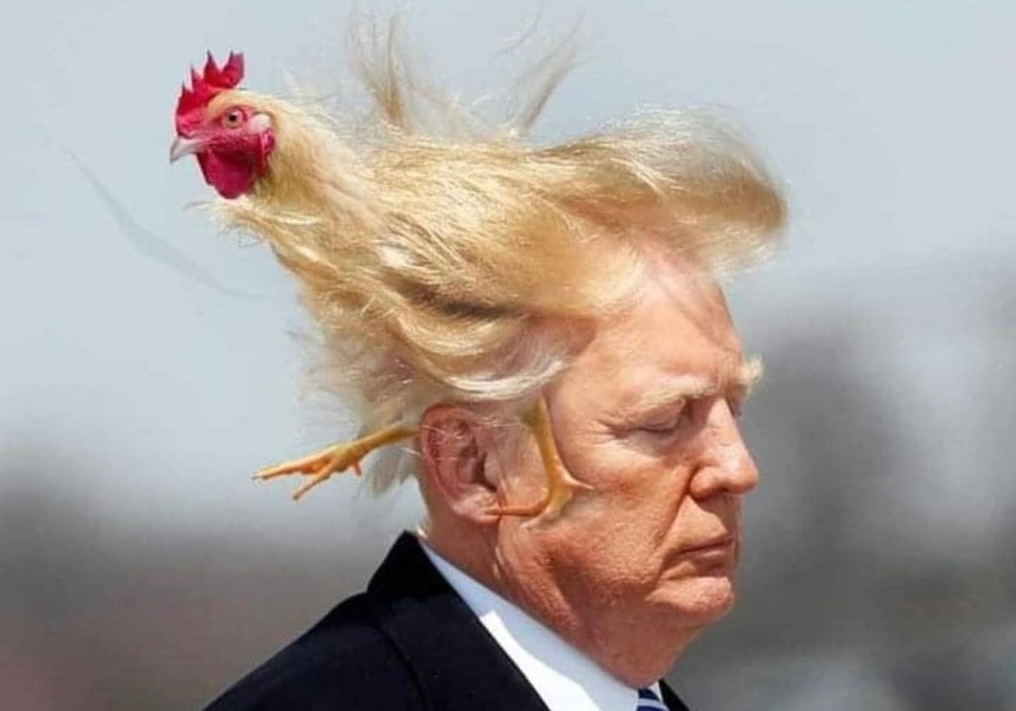 katheelynn's tweet photo. @gtconway3d Perfect for a chicken head https://t.co/z3V9PldzB3