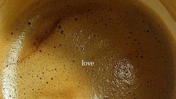 lakeeffectki's tweet image. my future is my priority