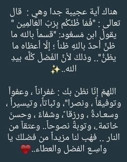مهدي الشمري (@alshmry71367) on Twitter photo 
