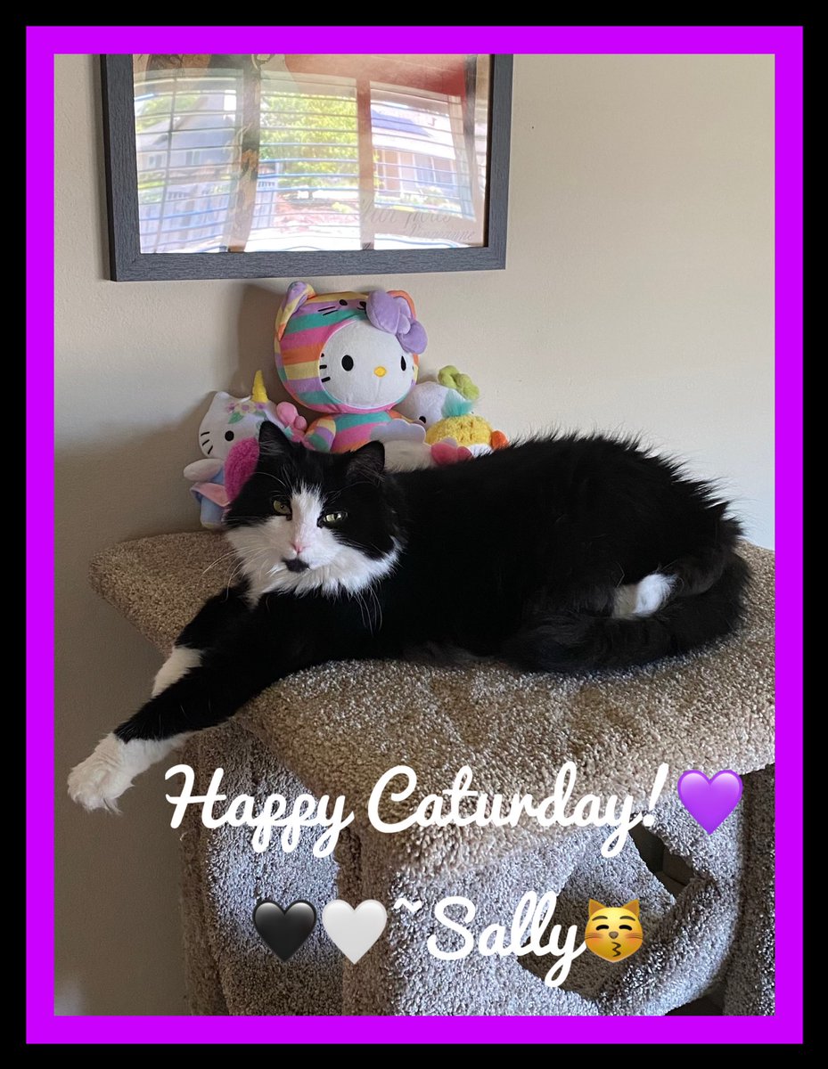 🐾Reminding every~🐾~dee to take
     time when you can to find a nice 
     spot to lounge &amp; do nothing.🐾😎
     💖😘🤗 to all! 🐾🖤🤍~Sally

#CatsOfX #CatsOfTwitter #CatsAreFamily #Caturday #CatsAreFamily #TuxedoCats #AnimalLover #MyCat #Cats